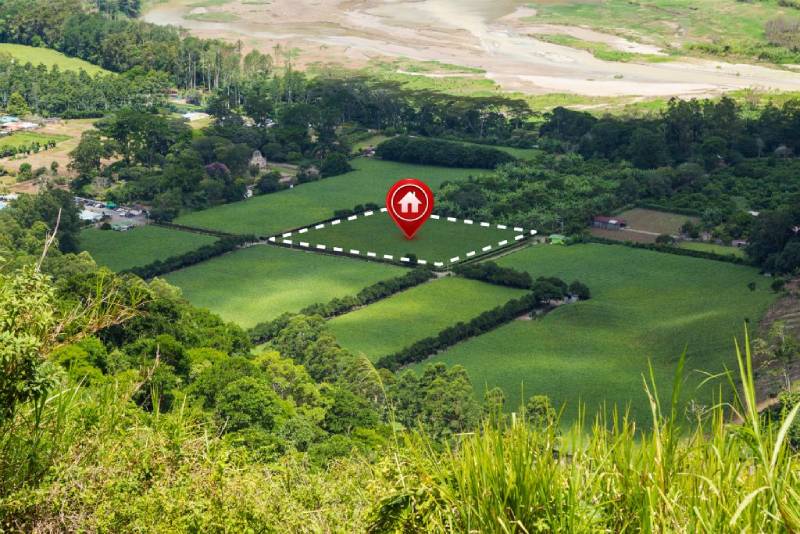 Real Estate Search Trends in the U.S.